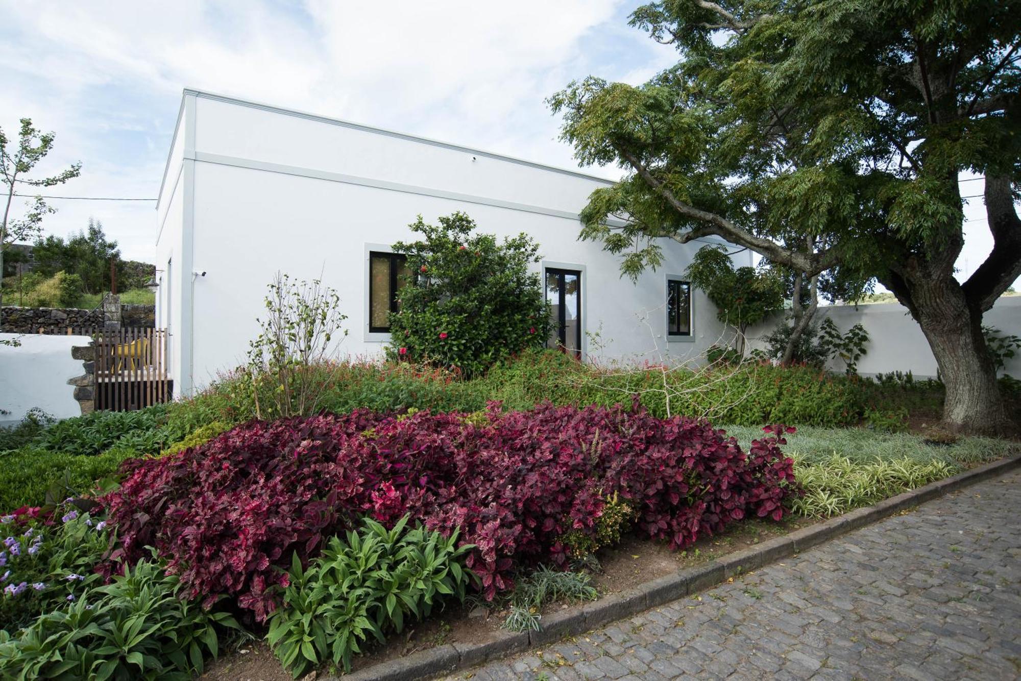 Green&Houses Ponta Delgada Exterior foto